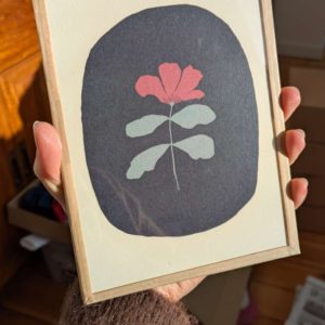 Fleur du matin