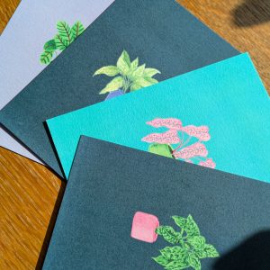 Pack de 4 cartes postale plantes